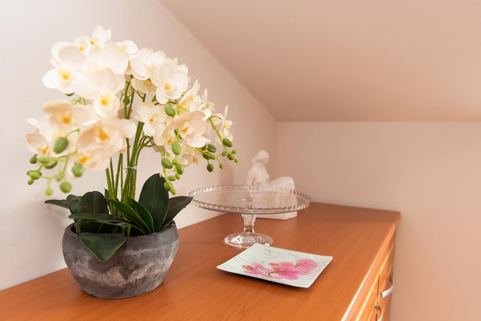 Apartments Andrijana Split Ngoại thất bức ảnh